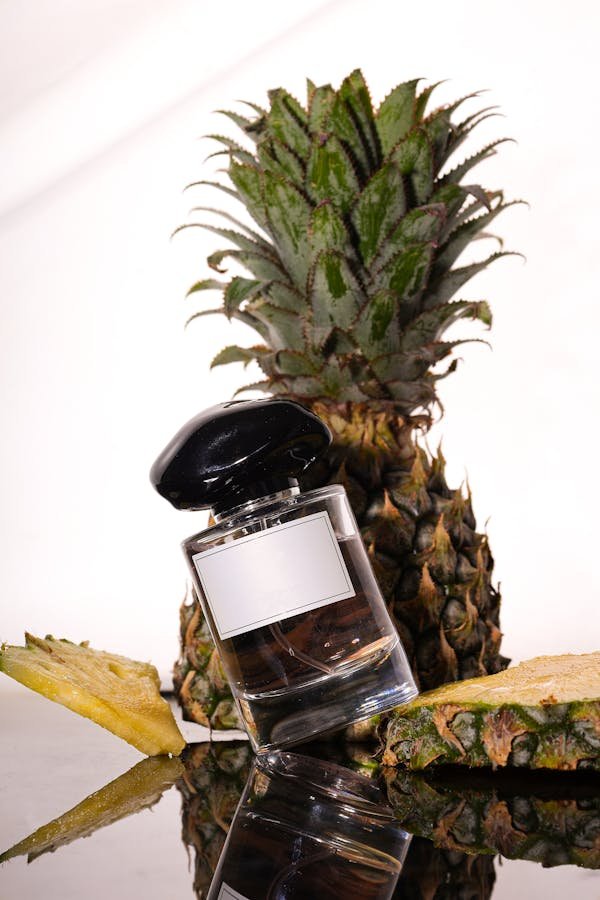 Optimisez vos publicités avec l'agence adsback : succès garanti !